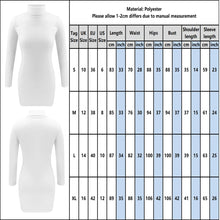 Load image into Gallery viewer, Autumn Fashion Turtleneck Long Sleeve Bodycon Dress
