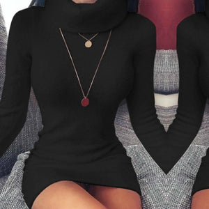 Autumn Fashion Turtleneck Long Sleeve Bodycon Dress